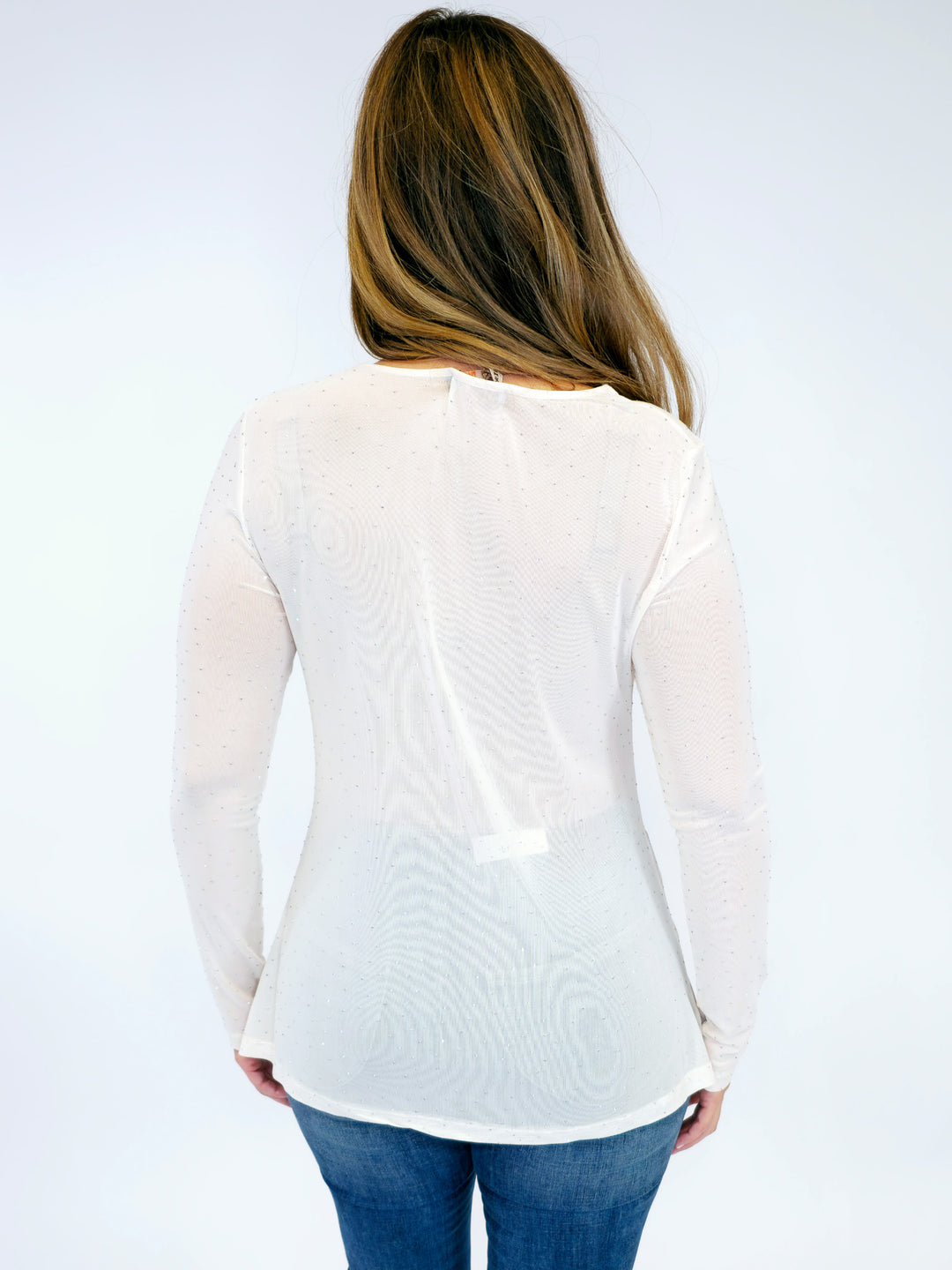 LONG SLEEVE SPARKLY MESH TOP - BEIGE
