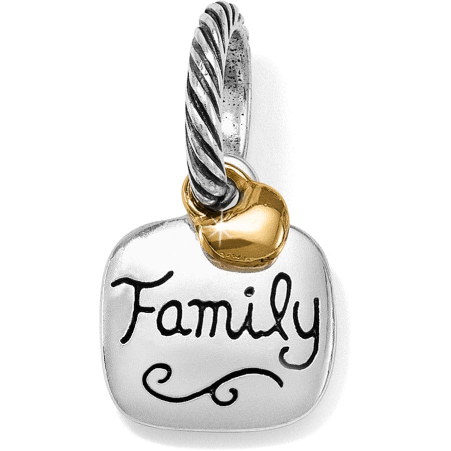 FAMILY LOVE CHARM - SILVER-GOLD