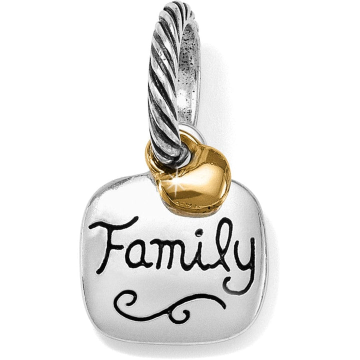 FAMILY LOVE CHARM - SILVER-GOLD