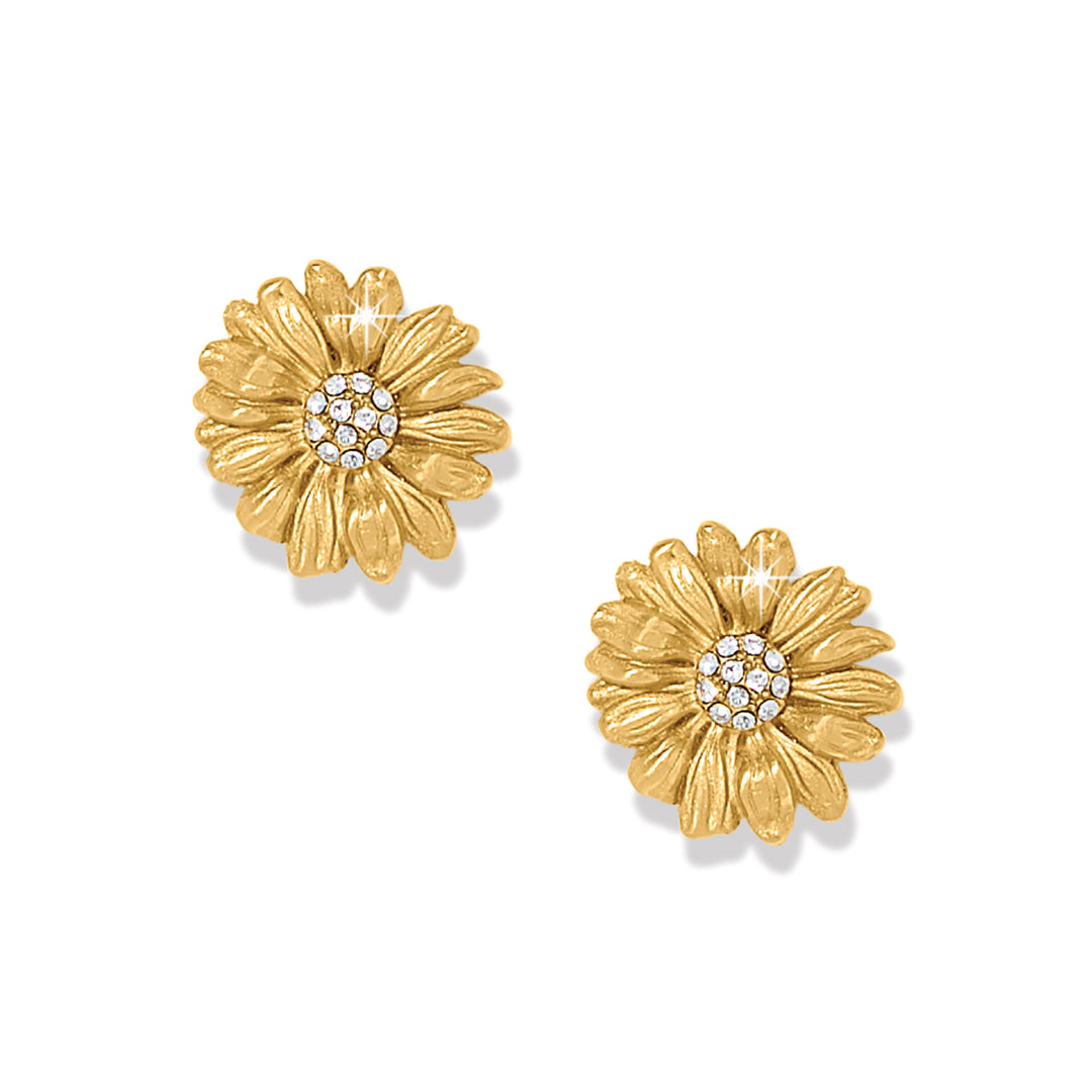 Daisy Dee Post Earrings - Gold