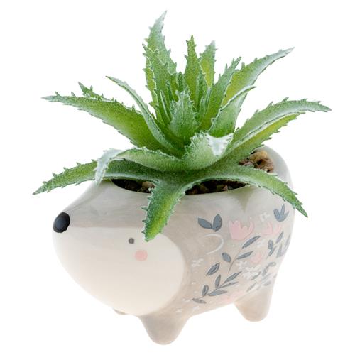 SHAPED SUCCULENT POT HEDGEHOG