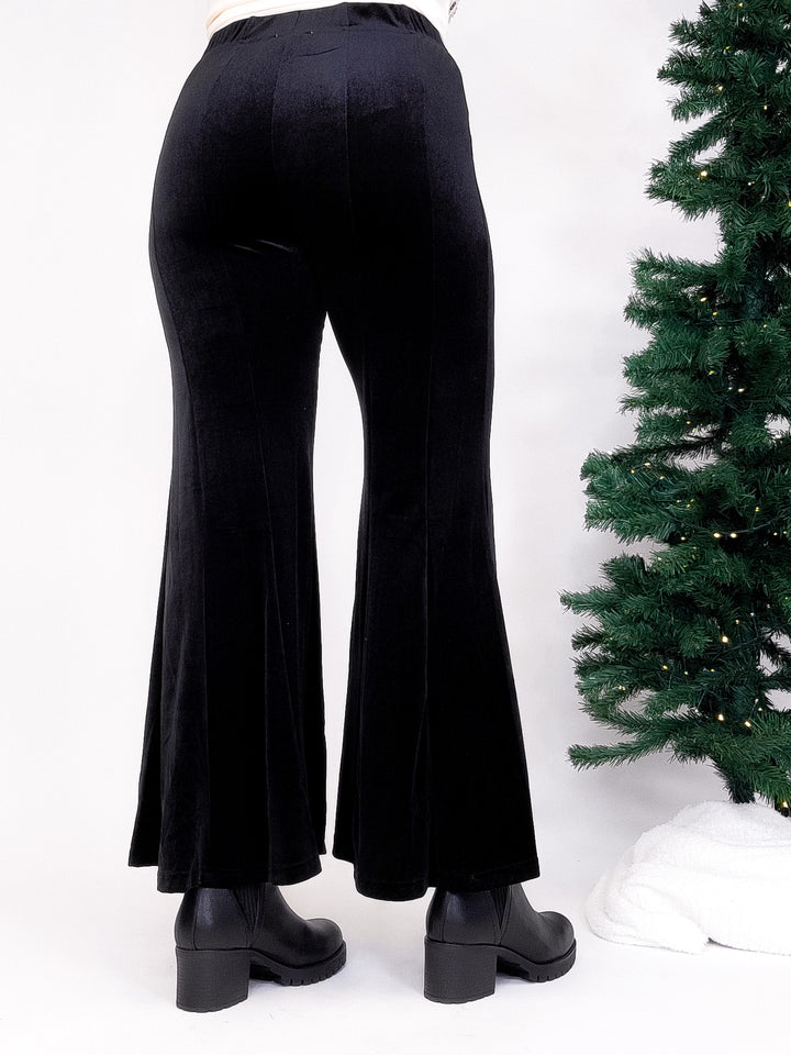 VELVET STRETCH WIDE FLARE LEG PANT - BLACK