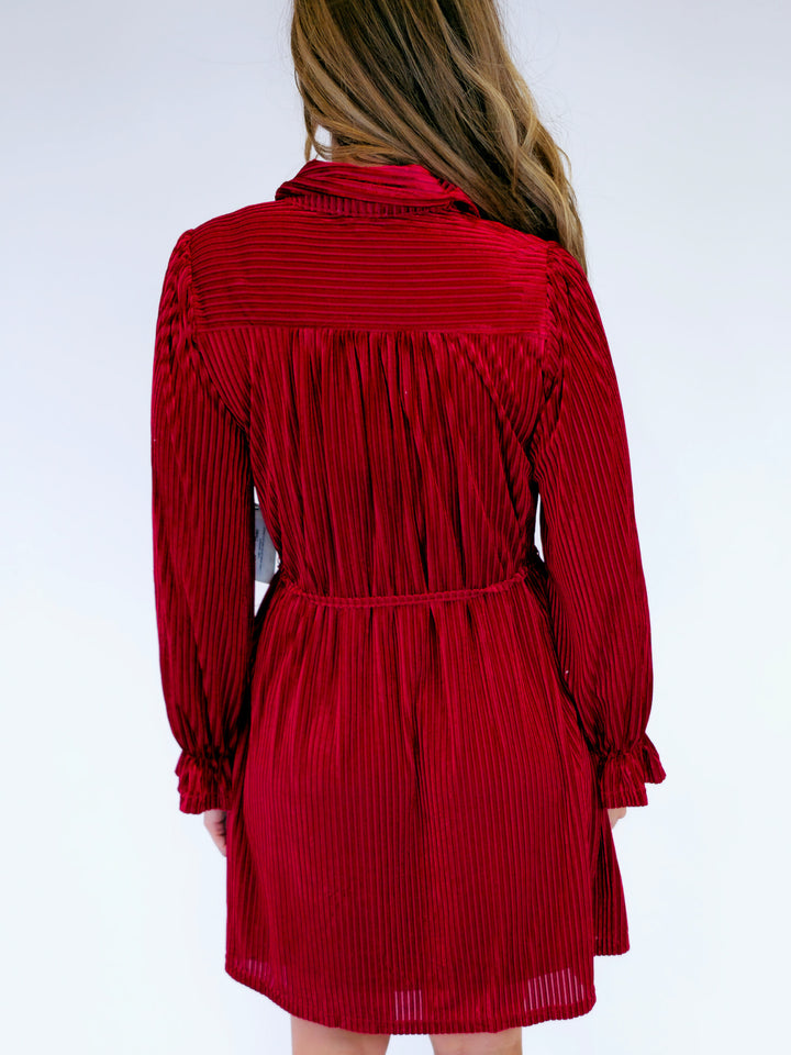 STRIPED TEXTURED VELVET DRESS W/BELT - BURGUNDY