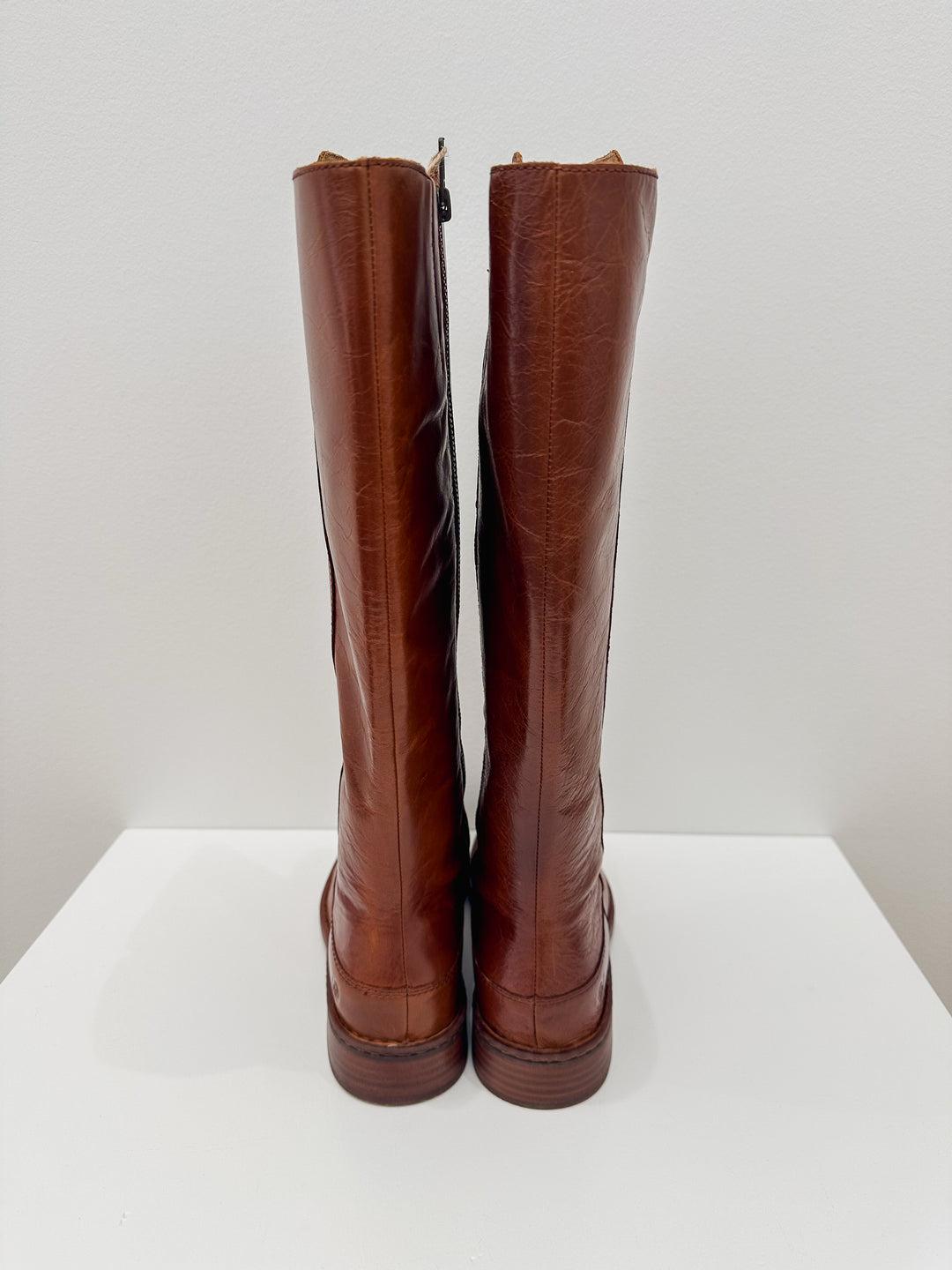 BORN CAMPBELL TALL BOOTS - TAN