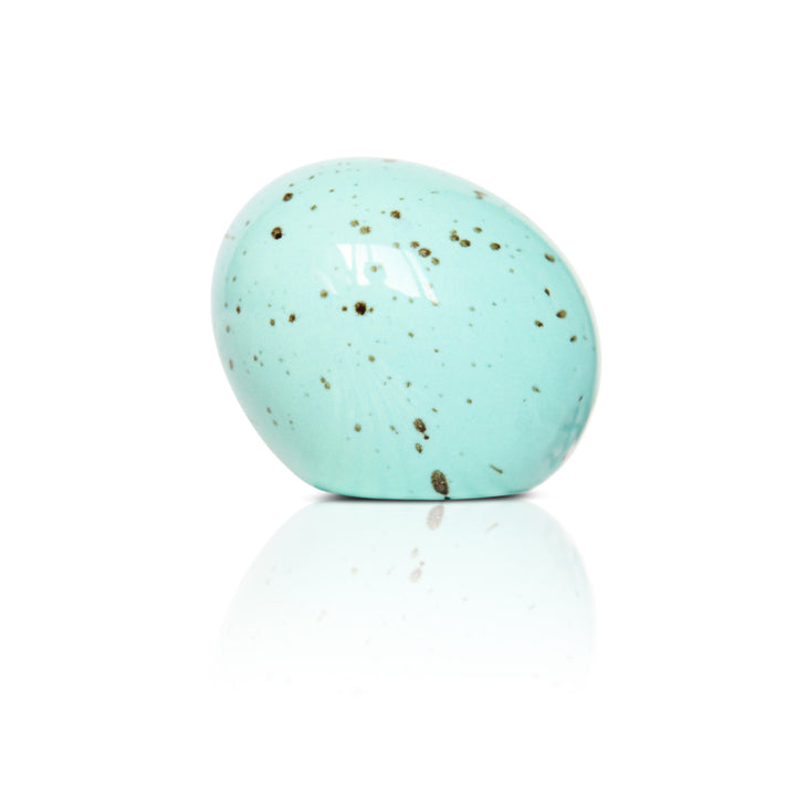 eggstra-ordinary /robin egg MINI