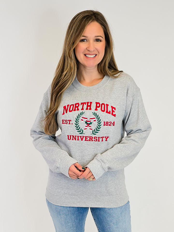 NORTH POLE UNIVERSITY EMBROIDERED SWEATSHIRT - GREY