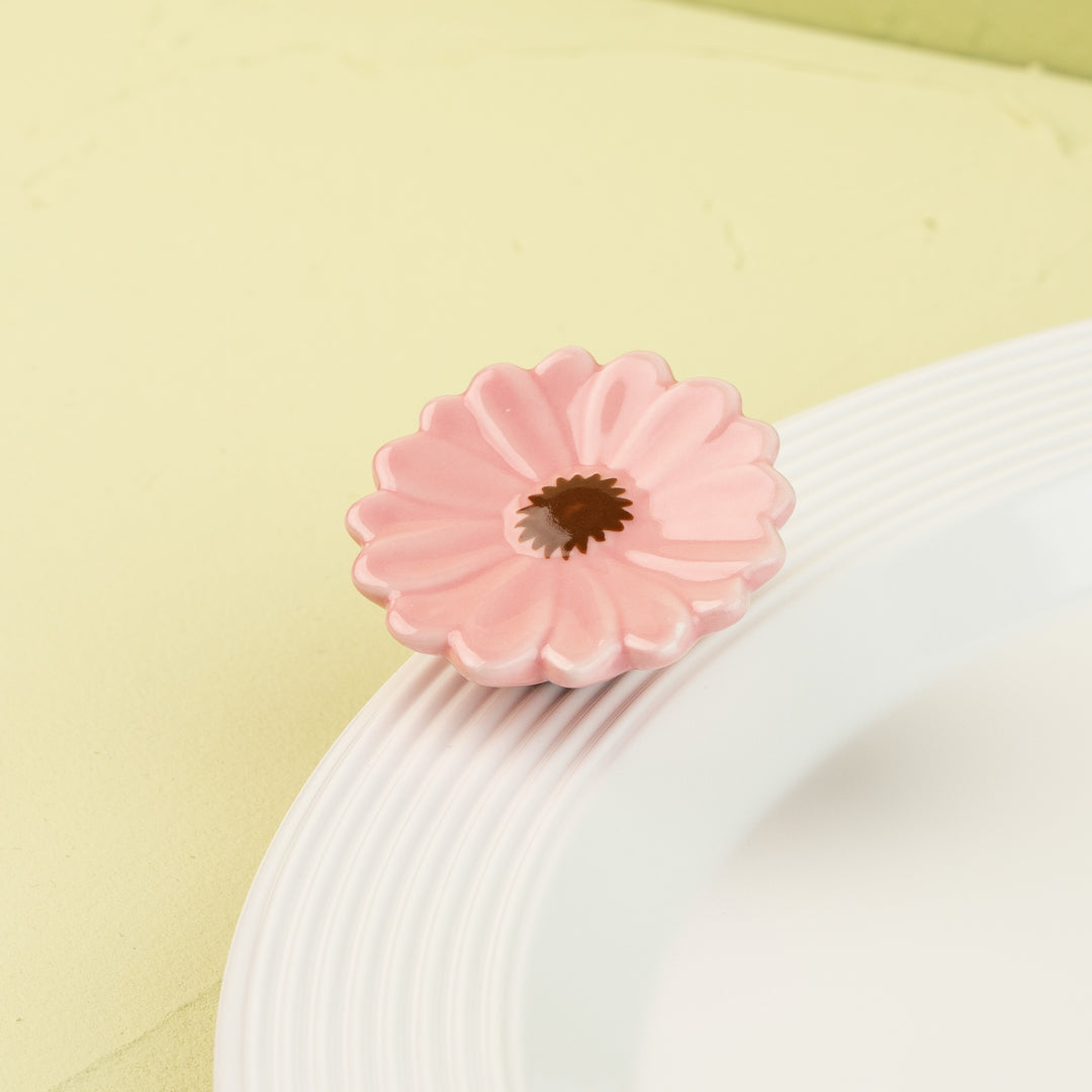 flower power /pink gerber daisy MINI