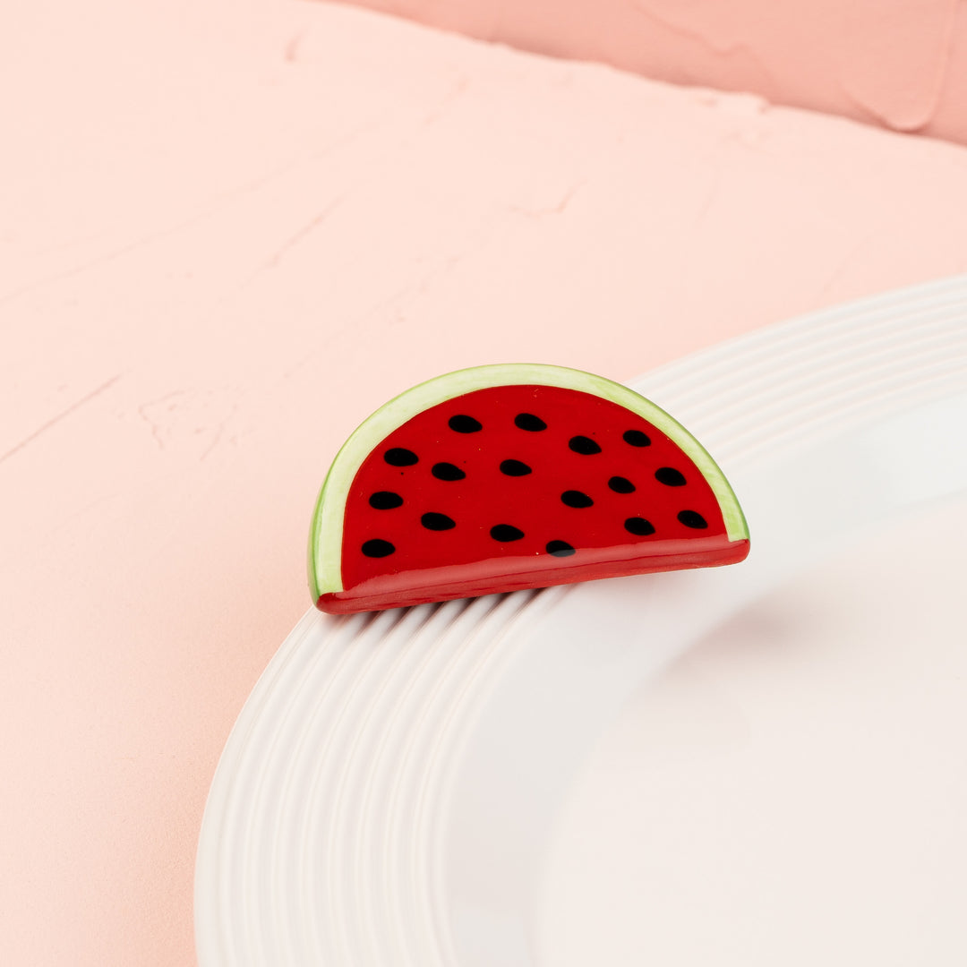 taste of summer/ watermelon MINI