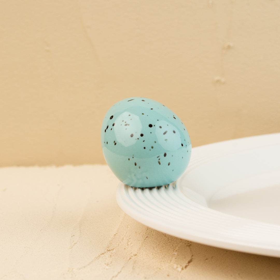 eggstra-ordinary /robin egg MINI