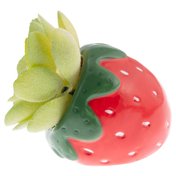 strawberry succulent planter Karma Strawberry Succulent Pot