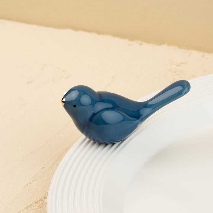 bluebird of happiness blue bird MINI