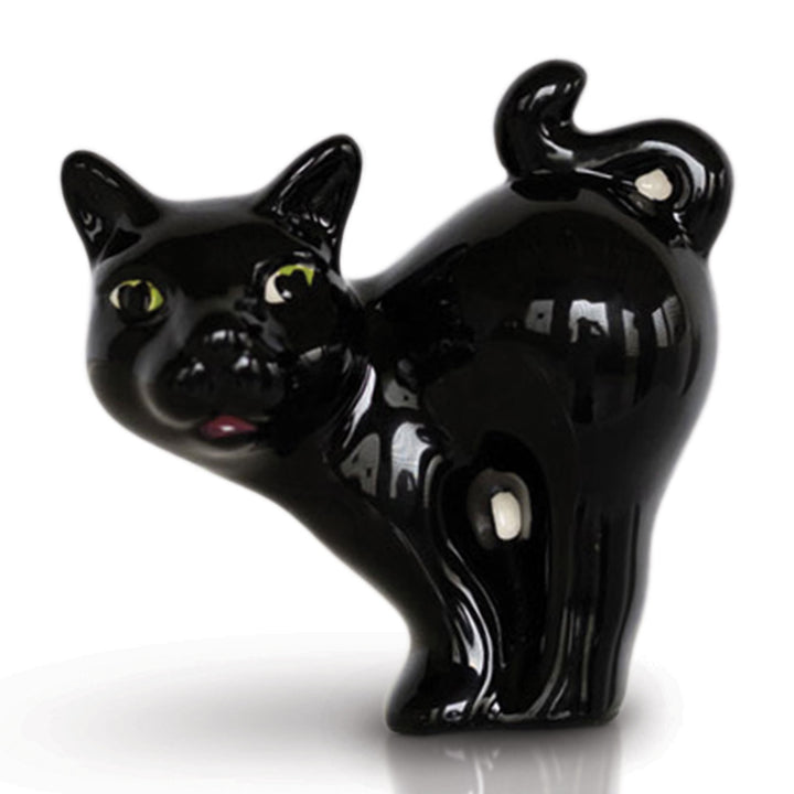 scaredy cat /black cat MINI