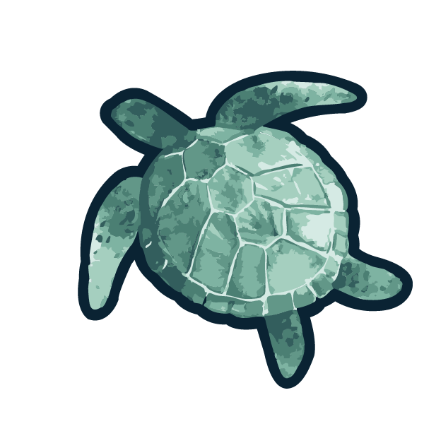 BOGG BIT 2.0 - SHELL YEAH TURTLE
