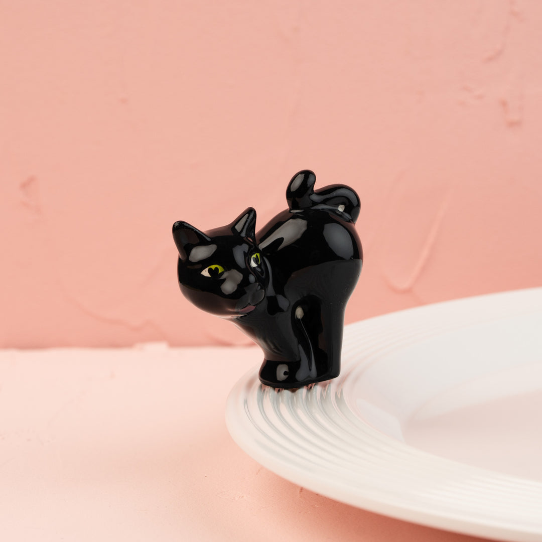 scaredy cat /black cat MINI