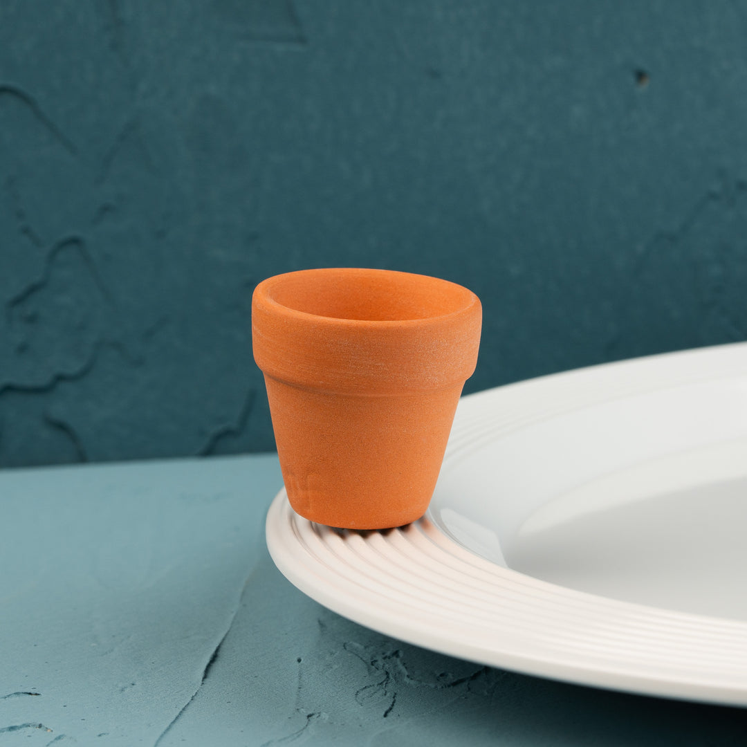 can you dig it?/ terracotta pot MINI