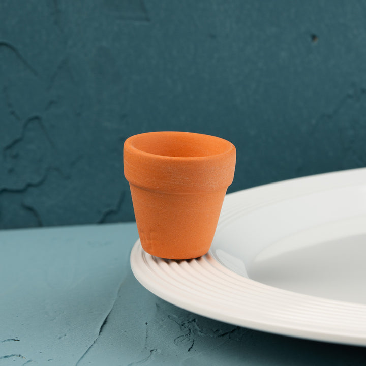 can you dig it?/ terracotta pot MINI