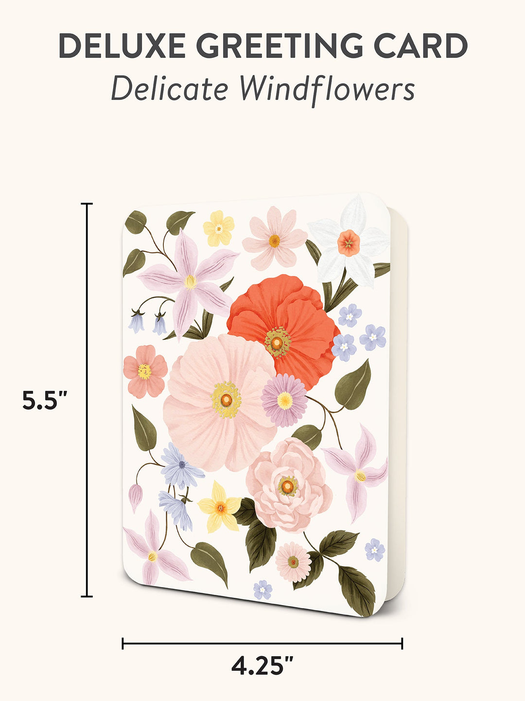 DELUXE GREETING CARD - DELICATE WINDFLOWERS