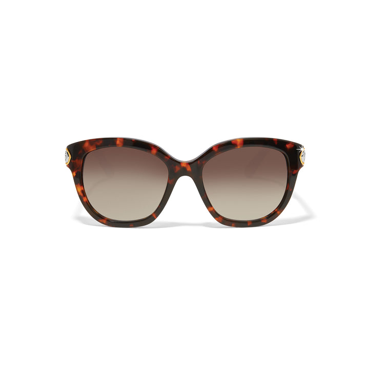 INTRIGUE TORTOISE SUNGLASSES - AMBER