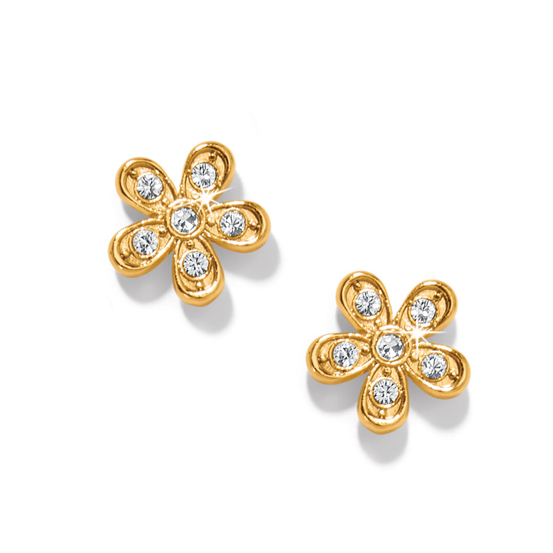 ENCHANTING FLOWER POST EARRINGS - GOLD