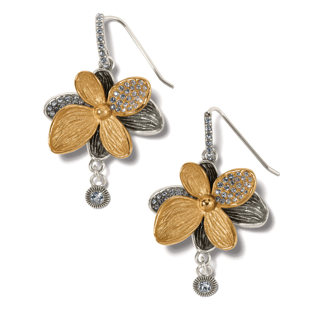 EVERBLOOM SHINE FRENCH WIRE EARRINGS - SILVER-GOLD