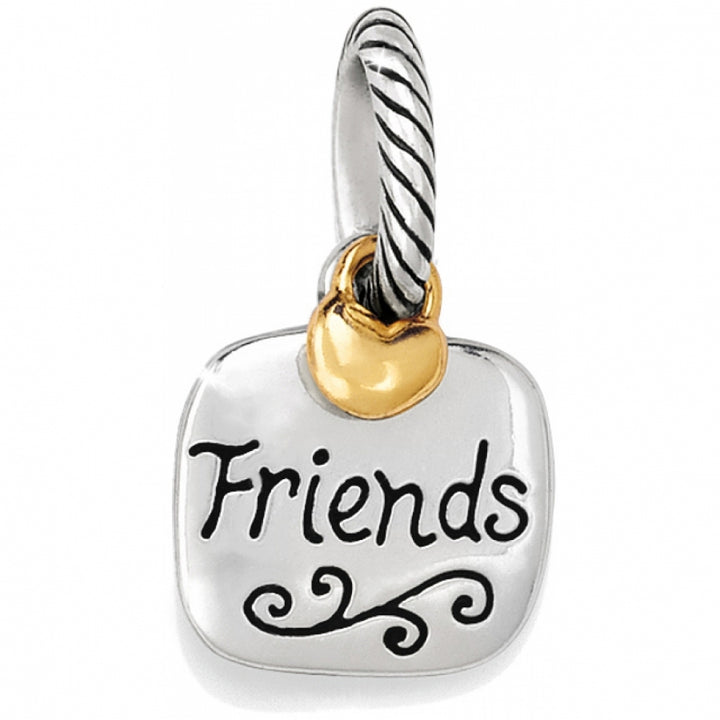 FRIENDS FOREVER CHARM - SILVER-GOLD