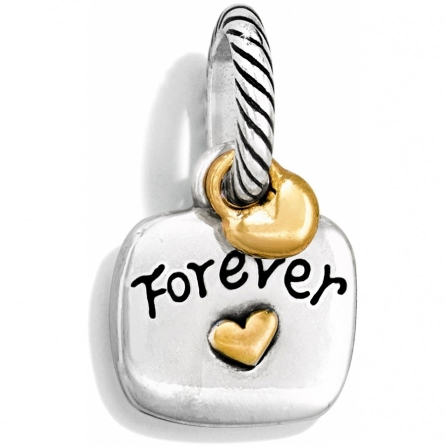 FRIENDS FOREVER CHARM - SILVER-GOLD