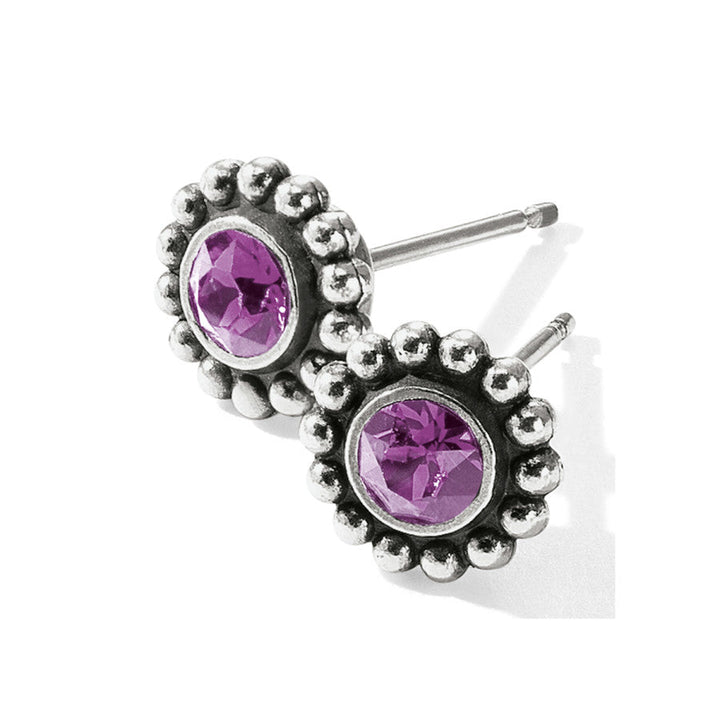 Twinkle Color Mini Post Earrings - AMETHYST