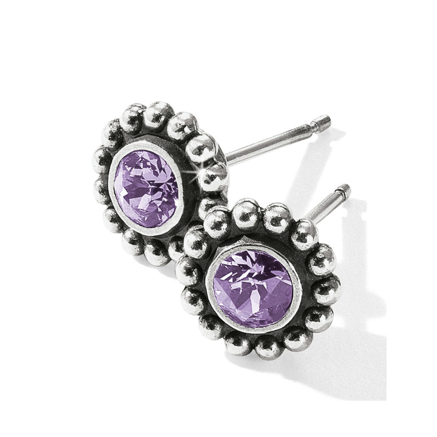 Twinkle Color Mini Post Earrings - purple